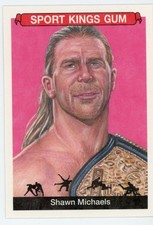 2018 Sport Kings Shawn Michaels #25 Wrestling DX
