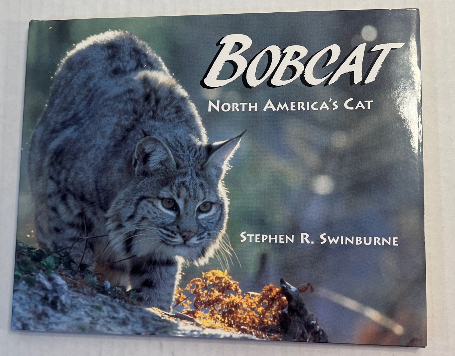 Bobcat, North America’s Cat Hardback Book signed by stephen swinburne