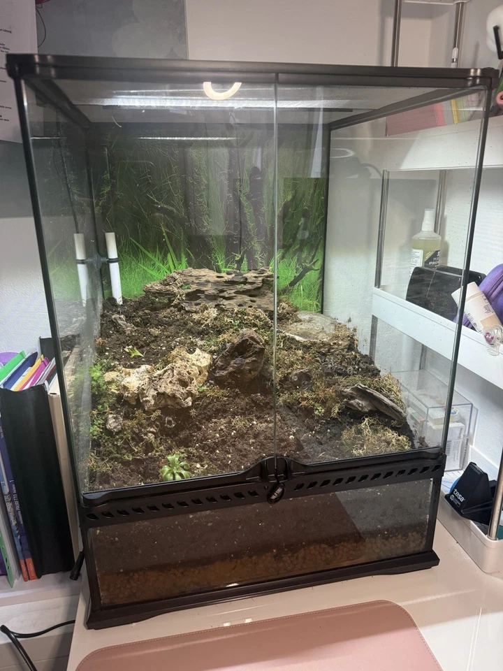 Verkaufe Terrarien von Exoterra 45x45x90 cm groß in Glas (auch als Paludarium) - Bild 3 von 4