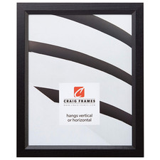 Craig Frames 7171610Bk 8 By 21-Inch Picture Frame Wood Grain Finish .825-Inch