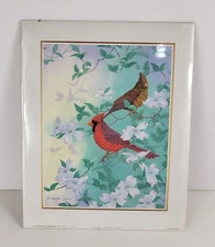 Chris Forrest Cardinal 8×10 Print 1994 Arthur A.  Kaplan co, INC, N.Y.C  FL7757