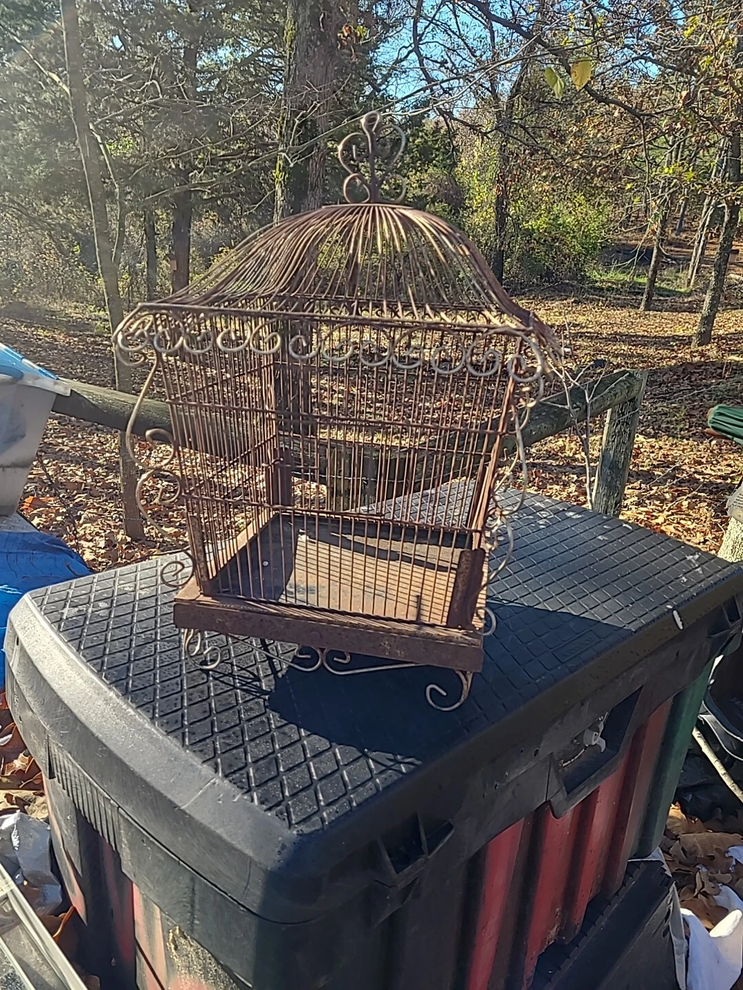 Vintage Ornate Birdcage Stunning Estate Find Bird Cage Decorative Metal Art