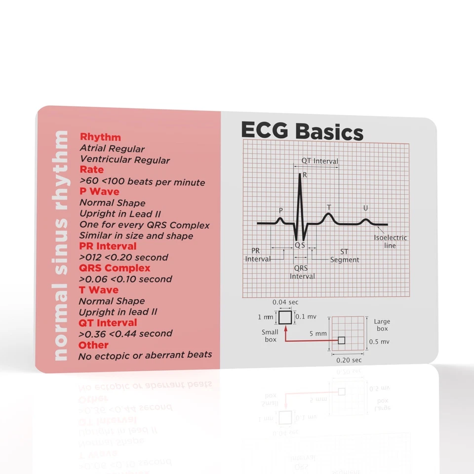 THE PRINT NINJA ECG Basics Reference Card Student Paramedic Nurse Doctor Medic