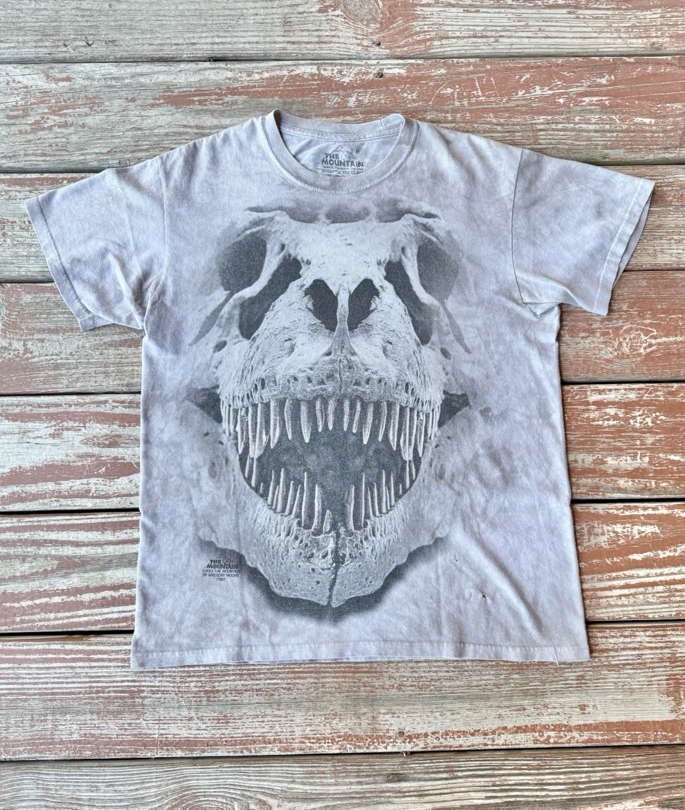 Y2K The Mountain Dinosaur Skull T-Shirt Mens Medium Grey Tie Dye T-Rex Big Face