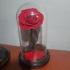 Vintage Rose in Glass Dome Eternal Enchanted Forever - Infinity Perserved