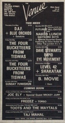 D.A.F. - ORIGINAL GIG ADVERT CLIPPING - VENUE LONDON - 21/5/81 - BLUE ORCHIDS