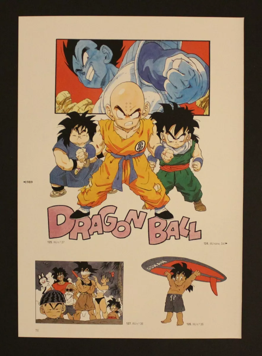 1996 Dragon Ball DOUBLE-SIDED MINIPOSTER 2 Posters in 1 