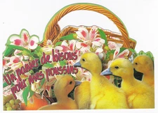 DUCK Duckets Postcard #339-103 A Basket of Kisses for My Chicks