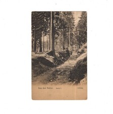 AK Ansichtskarte Aus der Natur / Hohlweg