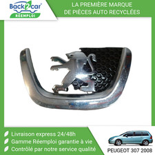 Calandre Peugeot 307