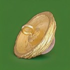 9 Faux Crystal Designer Shank Buttons. Extraordinarily Dazzling. — photo 5