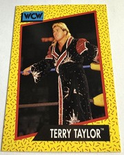 Terry Taylor: 1991 Impel WCW Card #69