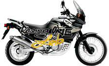 TERMINALE DI SCARICO ARROW PARIS DAKAR REPLICA HONDA XRV 750 AFRICA TWIN 96 - 04