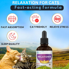Cat Melatonin, Melatonin for Cats, Cat Sedative for Grooming, Cat Sleep Aid, ...