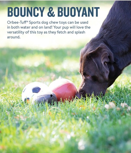 Planet Dog Orbee-Tuff Soccer Ball Treat Dispenser Interactive Dog Toy White - Picture 4 of 5