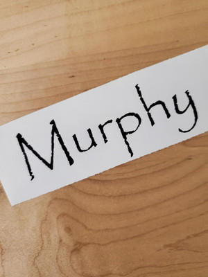Murphy pet name Sticker Vinyl Decals 8'' (2) PAIR black - Dog Cat Pet Puppy FAST