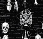 Fat Quarter Human Skeleton Parts Glow In The Dark 100% Cotton Quilting Fabric