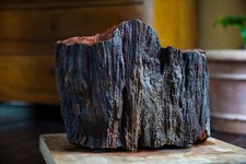 Arizona versteinertes Holz