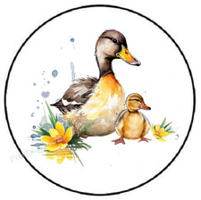 WATERCOLOR DUCK AND DUCKLINGS ENVELOPE SEALS LABELS STICKERS PARTY FAVORS