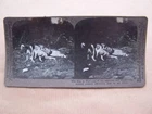 Stereoscopic Card W.W.1 Military Army Soldiers