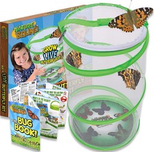 Nature Bound Butterfly Growing Kit - Live Caterpillar to Butterfly Project for K