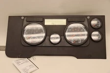 2013-2017 FREIGHTLINER CASCADIA 125 INSTRUMENT CLUSTER GAUGE SPEEDOMETER OEM