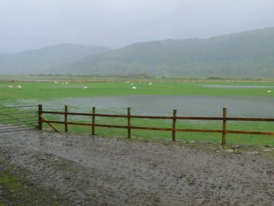 Foto 8x6 Altfelder Dolgellau Diese Felder wurden von der tid c2012 abgedeckt