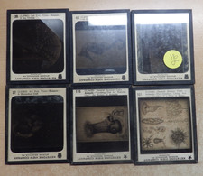  on The Hot Collector