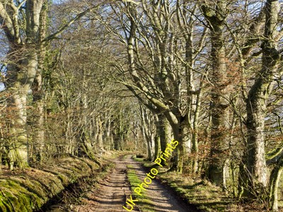 Photo 8x6 Approach to Bay Farm from the west Munlochy A revisit after two c2016