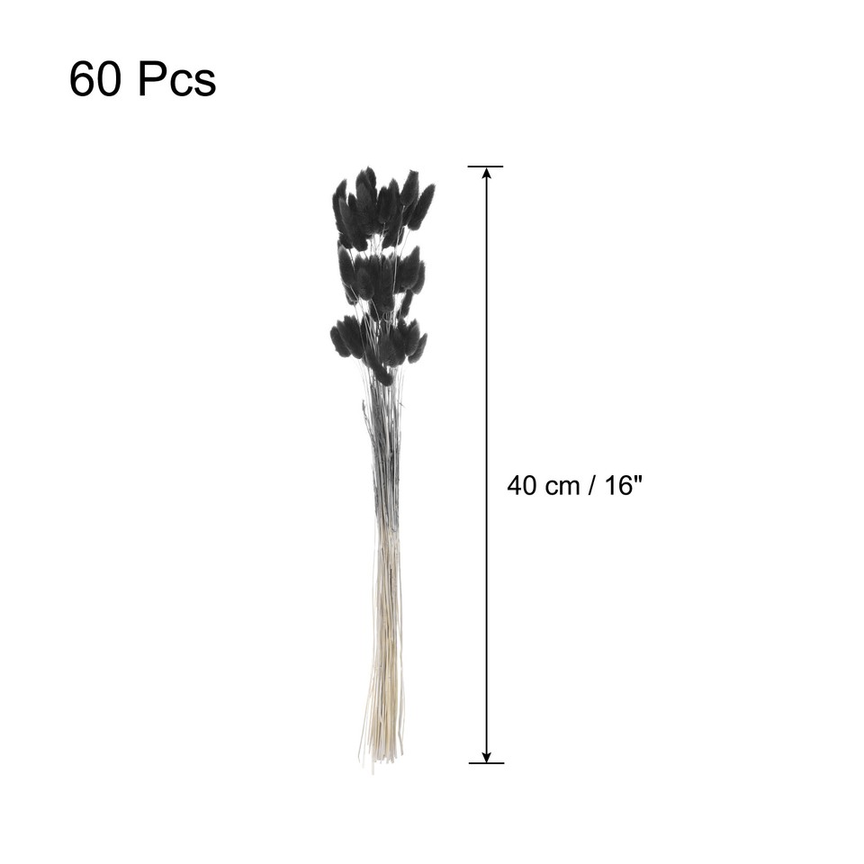 60pcs Natural Bunny Tails Dried Flowers 16" Mini Pampas Grass, Black eBay
