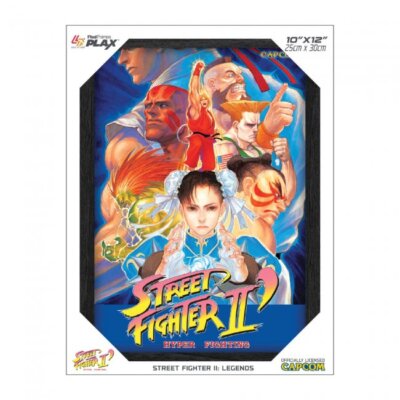 【ピクセルフレーム】ストリートファイター2 ロックマン2 シャドウボックス Amazon.com: Level Up Labs Pixel Frames: Street Fighter II (2