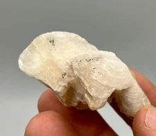 42.4 g Mini Herkimer Diamond Encased in White Calcite Crystal, Diamond Mountain