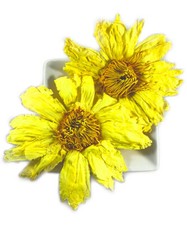 Whole Yellow Lotus Flowers Nelumbo lutea Egyptian Water Lily 10g FRESH