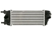 Thermotec DAF015TT LadeluftküHler TurboküHler FüR Panda 0.9 0.9CNG 1.3D 02.12-