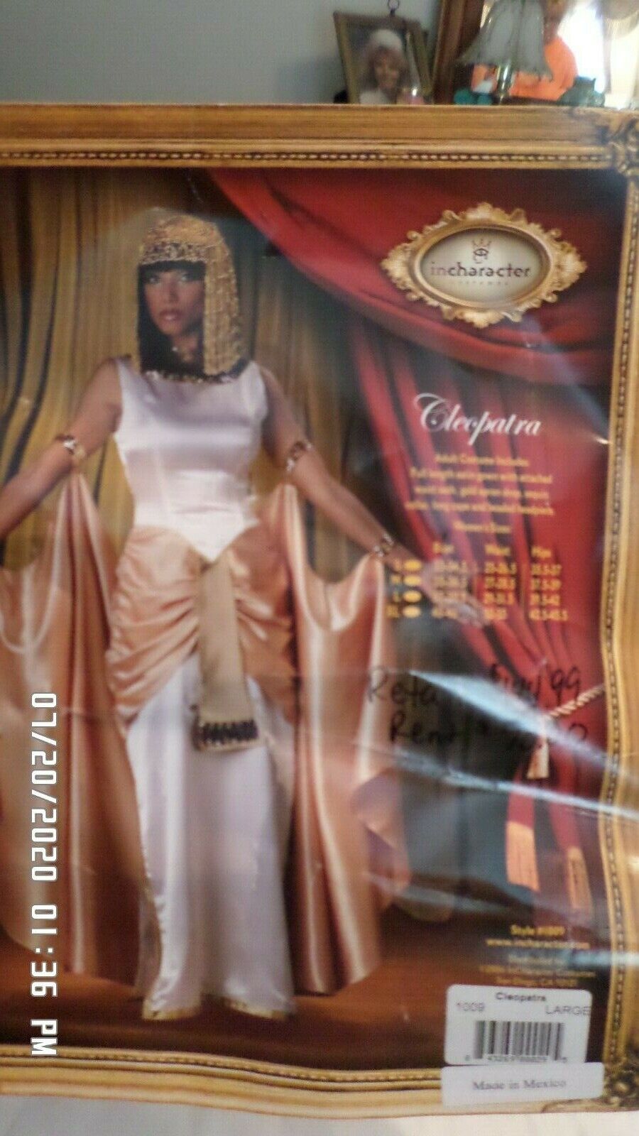 Deluxe Adult Queen of the Nile Costume Cleopatra … - image 1