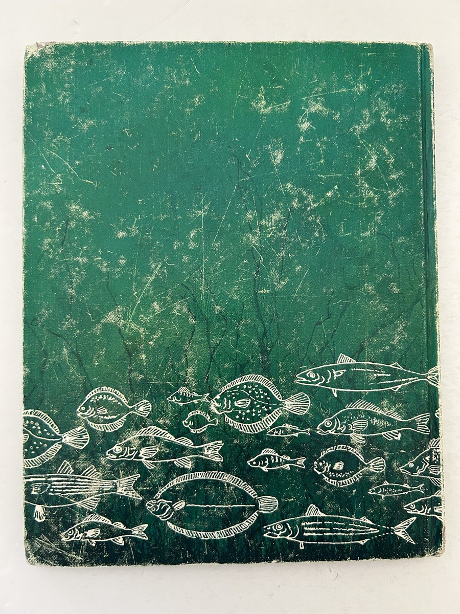 The Sea: A New Frontier by Donald A. MacLean Vintage 1967 Book | eBay