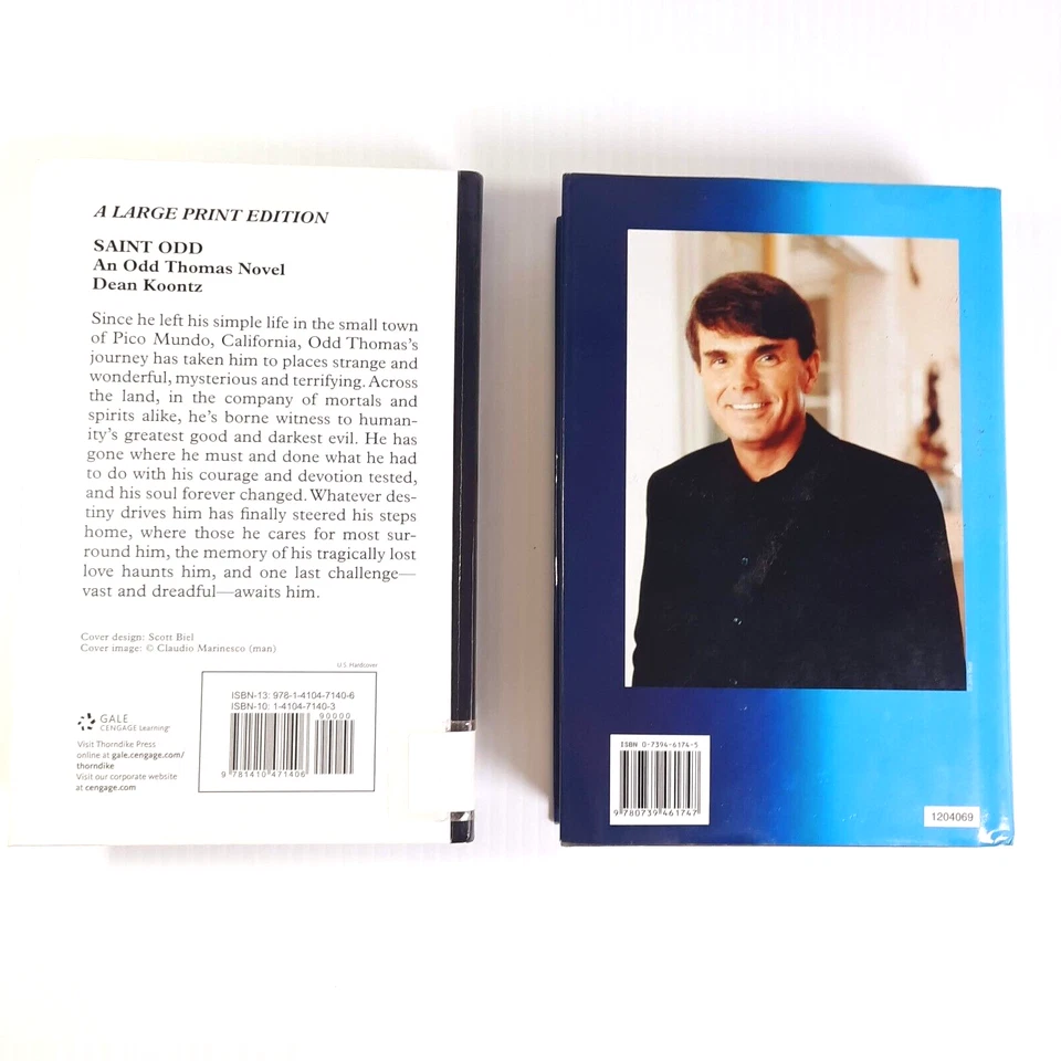 LARGE PRINT Psychological Thrillers Horror Dean Koontz Lot of 2 HC Ex-Library — 第 3/4 张图片