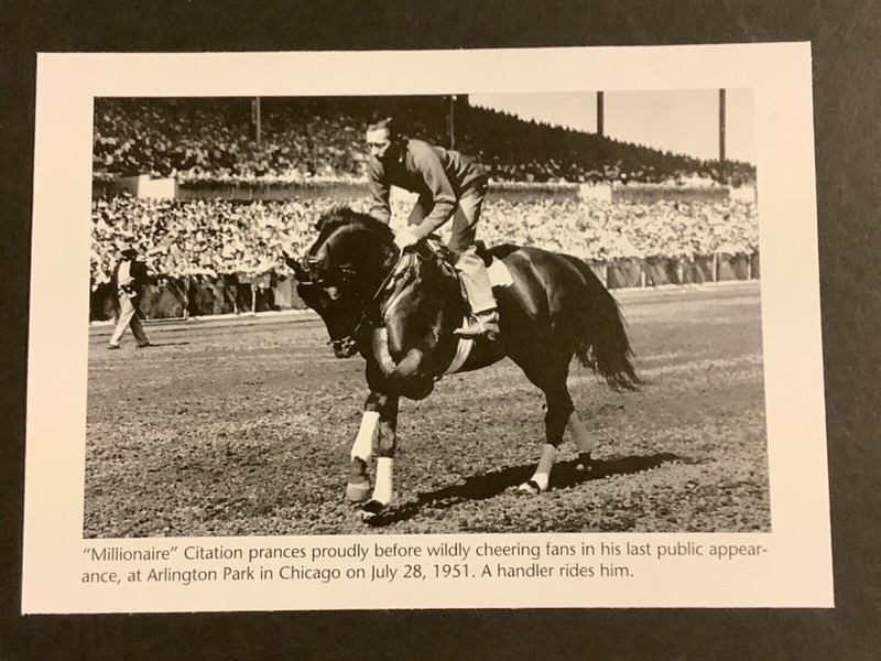 CITATION  ARLINGTON PARK RACE TRACK  photo Horse Racing  LAST PUBLIC APPEARANCE