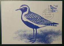 Island: "Einheimische Tiere" 1981, MN 568, Maximumkarte m. St REYKJAVIK 26.10.81