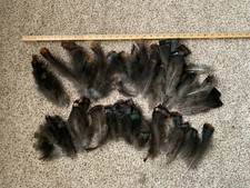Eastern WILD Turkey Sub Tail Feather Lot -Fly Tying, Crafts, Pow Wow Fan