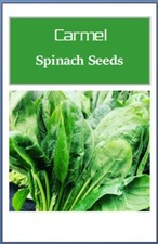 Carmel Spinach Seeds | Fresh  F1 Hybrid  Spinach Seeds Hybrid Seeds