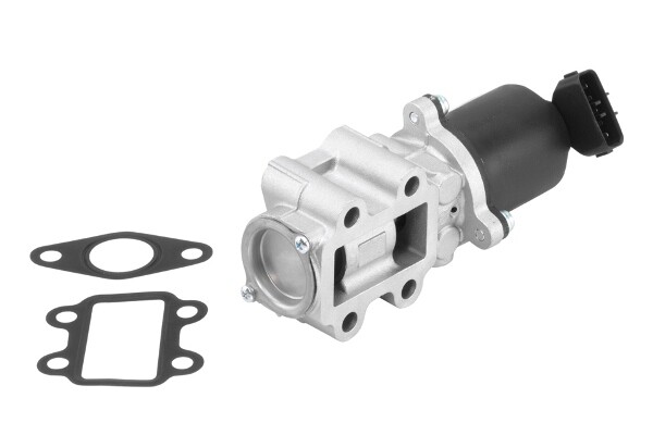 710934R WAHLER EGR Valve for TOYOTA