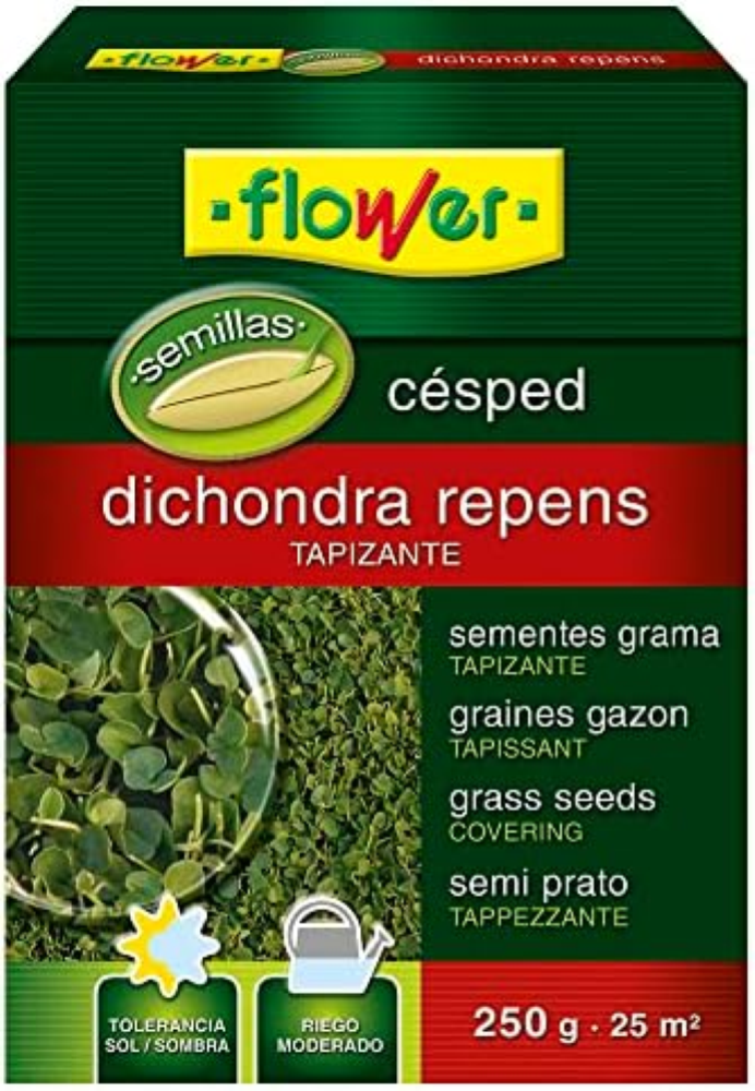 SEMILLA DICHONDRA REPENS