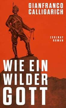 Wie ein wilder Gott: Roman von Calligarich, Gianfranco | Buch | Zustand sehr gut