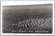 RPPC Antelope Herd Hart Mountain Oregon Eastman's Studio Vintage Postcard C426