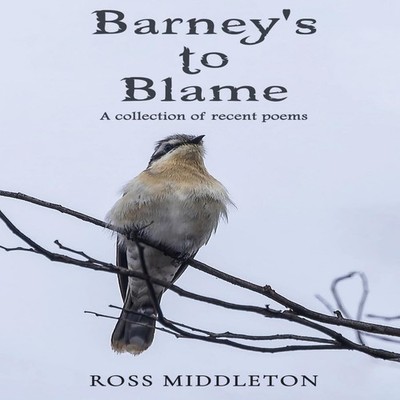 Barney's to blame Ross Middleton Paperback Inspiring Publishers