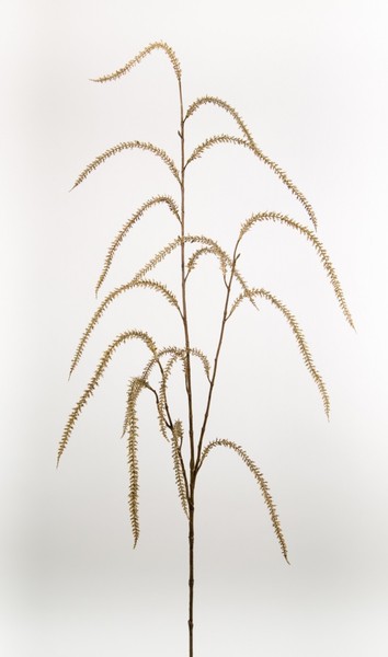 Fuchsschwanz / Amaranthus Zweig 120Cm Braun Ga Kunstzweig KüNstlicher Zweig-image