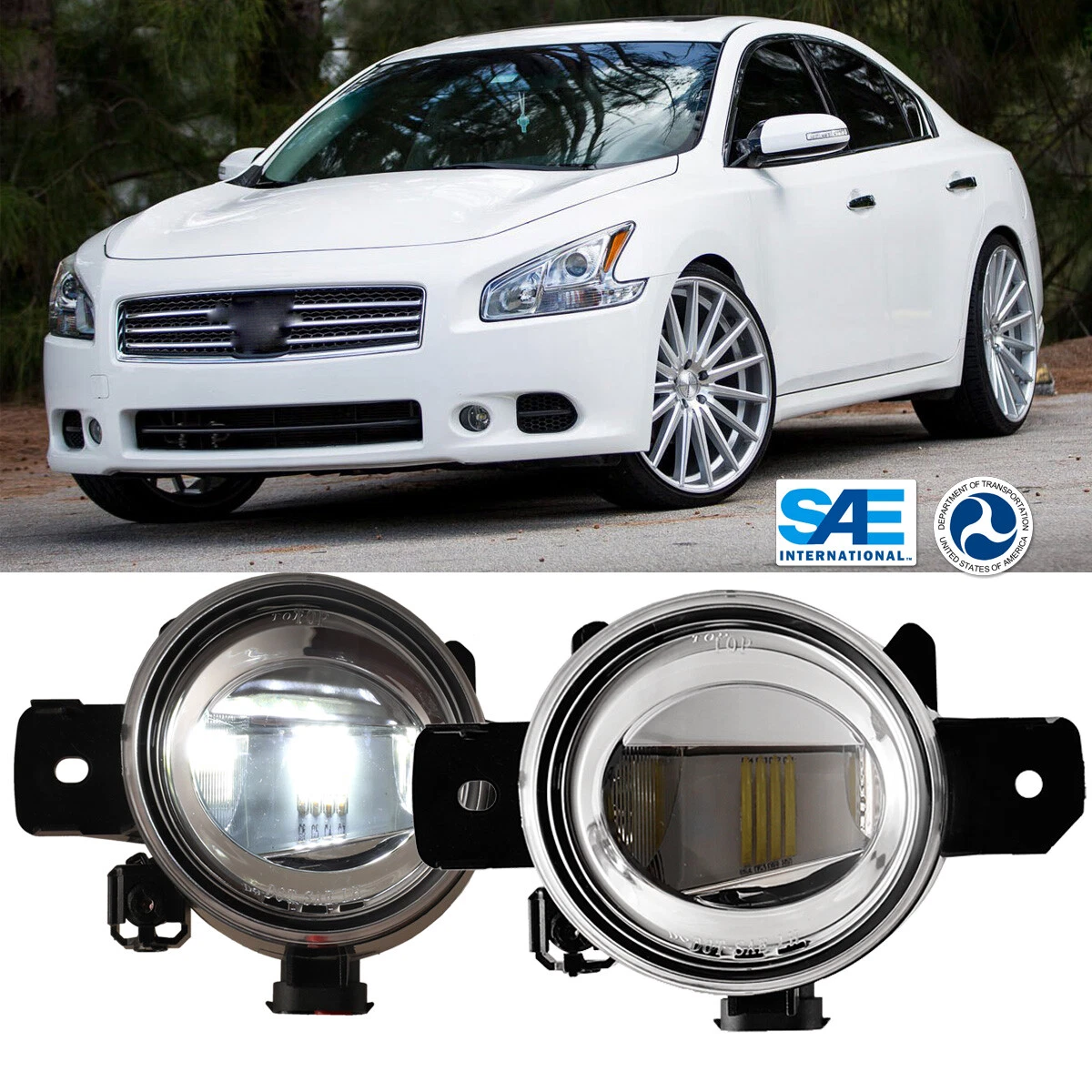 2004 Nissan Maxima Fog Lights Not Working Shelly Lighting