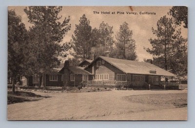 Antique California Postcard PINE VALLEY Hotel Trees Albert Vernon Co 1910s