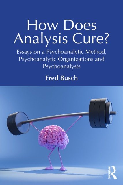 How Does Analysis Cure by Fred Busch PAPERBACK - Image 4
